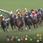 【競馬】秋華賞16着 カムニャックとはなんだったのか