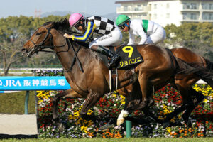 【競馬予想】[4] 第86回菊花賞(GⅠ) /2025