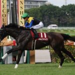 【競馬予想】[4]第30回秋華賞(GⅠ) /2025