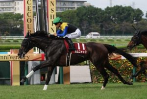 カムニャックの秋華賞2週前の追い切りが凄すぎる件