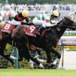 GI未勝利でGⅡ3勝以上した馬レーベンスティール以外であげてけ