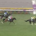 【競馬】アルテミスSは川田騎乗のフィロステファニがV