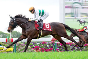 【菊花賞】14着ショウヘイ岩田望来「正直3000mはこの馬には長いです」