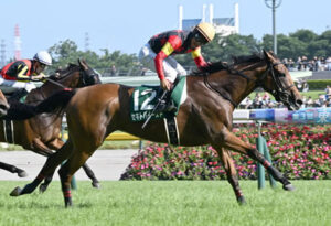 【競馬予想】[2]第1回アイルランドトロフィー(GⅡ) /2025