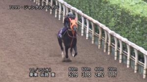 【富士ステークス2025】追い切り/調教を見てわかる事