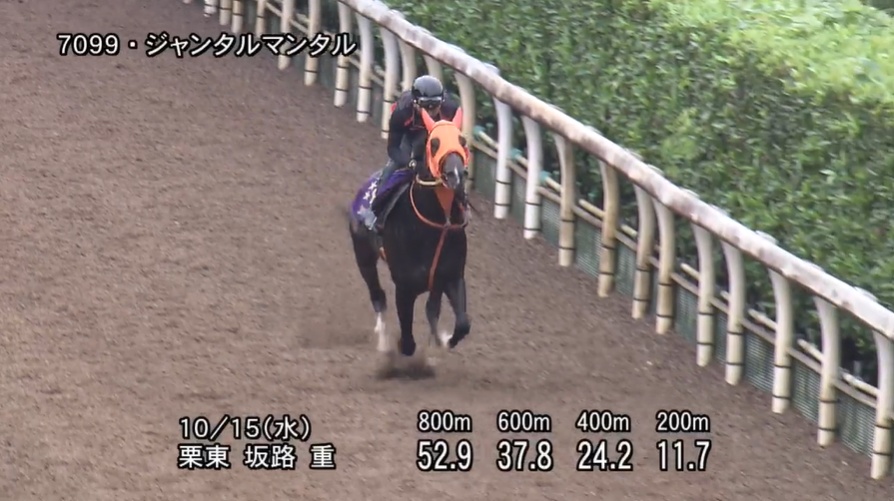 【富士ステークス2025】追い切り/調教を見てわかる事