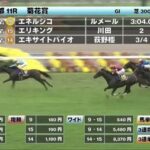 【菊花賞】エキサイトバイオ買えたヤツ