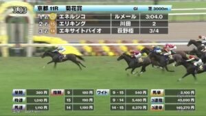 【菊花賞】エキサイトバイオ買えたヤツ