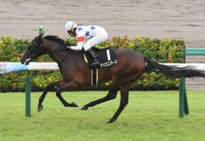 【菊花賞】マイユニバース九十九里特別ラスト10.9-11.2