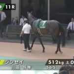 1番人気3着ジンセイ川田「返し馬で無理だなと思いました」