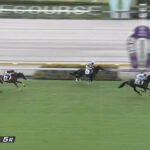 【2歳新馬】イクイ全妹イクシード衝撃デビューwww