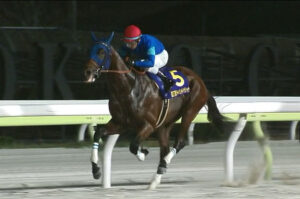 こんなに強いナルカミを飛ばした坂井瑠星