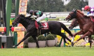 【京都大賞典】ディープモンスターが内から抜け出しV！ 7歳秋の重賞初制覇