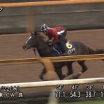 【菊花賞2025】追い切り/抜群の動きを見せたのは