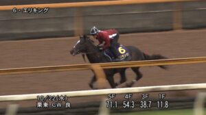 【菊花賞2025】追い切り/抜群の動きを見せたのは