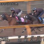 【ファンタジーステークス2025】追い切り/調教を見てわかる事