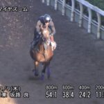 【スワンステークス2025】追い切り/動きからレースを紐解く