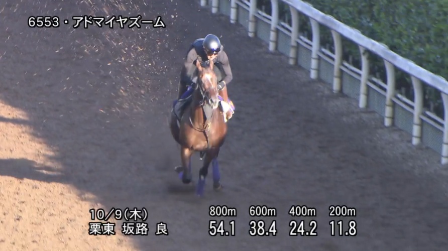 【スワンステークス2025】追い切り/動きからレースを紐解く