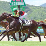 クロノジェネシスの初子ベレシートが熱発でアイビーSを回避の模様