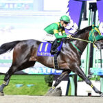 【マイルCS南部杯】ウィルソンテソーロ強すぎワロタ