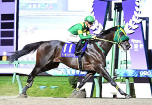 【マイルCS南部杯】ウィルソンテソーロ強すぎワロタ