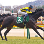 【競馬予想】[4]第172回天皇賞(秋)(GⅠ) /2025