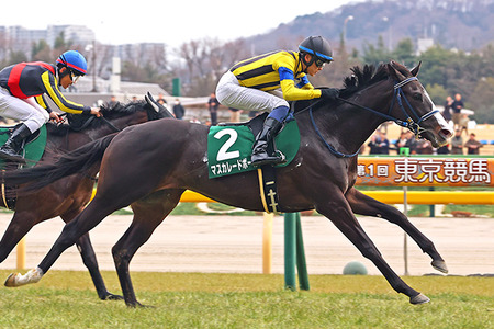 【競馬予想】[4]第172回天皇賞(秋)(GⅠ) /2025