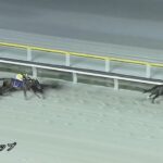 【マリーンカップ2025】結果・動画/プラウドフレールが会心の逃げ切りV