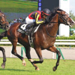 【競馬予想】[1] 第86回菊花賞(GⅠ) /2025