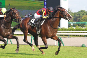 【競馬予想】[1] 第86回菊花賞(GⅠ) /2025