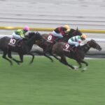【毎日王冠2025】結果・動画/レーベンスティールが差し切り重賞4勝目