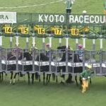カムニャックはレース後も無事 友道師「馬体に異常はなかった」
