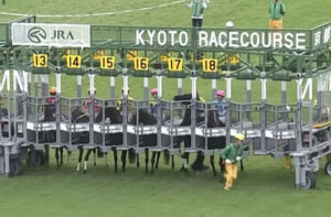 【秋華賞】1番人気カムニャック、発汗と入れ込みでレース前で終わる