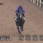 【秋華賞2025】追い切り/動きを見極め勝利に近づけ