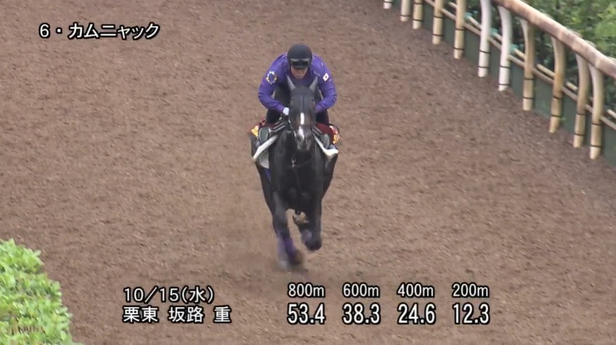 【秋華賞2025】追い切り/動きを見極め勝利に近づけ