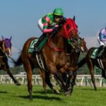 シランケドは横山武史と初コンビで天皇賞・秋