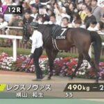 【菊花賞】レクスノヴァスを狙ってるヤツ