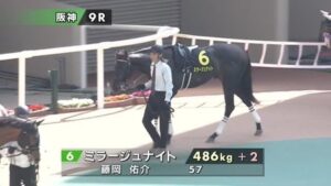 【菊花賞】ミラージュナイトに期待してるヤツ