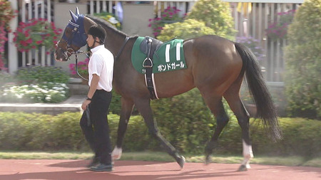 ボンドガール、ルメール「どうしてだかわからない」 手塚師「敗因はわかりません」