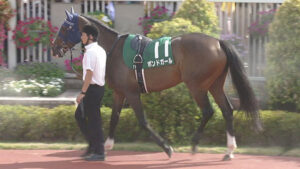 【アイルランドT】ボンドガールとはなんだったのか定期便