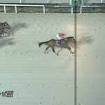 【競馬】フォーエバーヤングが日本テレビ盃を快勝