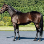 レイデオロに24年に種付け（39頭）させた牧場