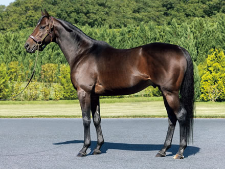 レイデオロに24年に種付け（39頭）させた牧場