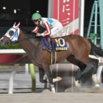 【ジャパンダートC】ナチュラルライズ ダート三冠なるか