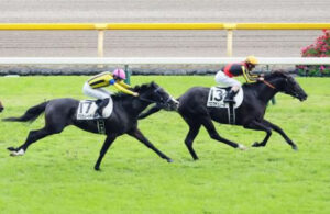 ダービー2着馬マスカレードボール、ルメールで天皇賞(秋)へ参戦