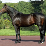 京都2歳Sがエピファネイア祭りな件