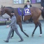 【マイルCS南部杯】サンライズジパングとはなんだったのか