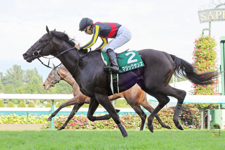 【競馬予想】[2]第28回富士ステークス(GⅡ) /2025