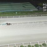 【競馬】ジャパンダートクラシックは戸崎騎乗のナルカミが逃げ切りV　ナチュラルライズは2着で3冠ならず