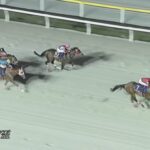 【日本テレビ盃2025】結果・動画/フォーエバーヤングが王者の走りで他馬を完封